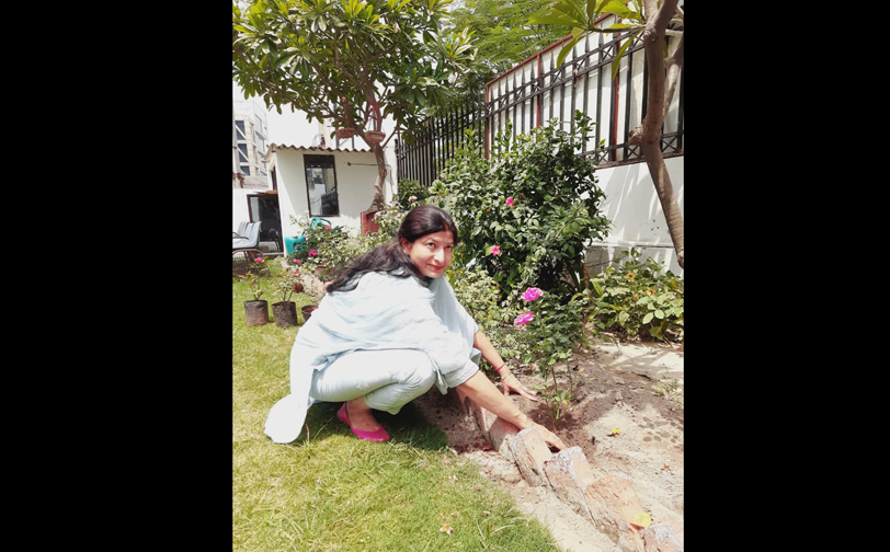 Galgotia-University